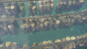 2_抑制棚（満潮時）