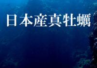 日本産真牡蠣