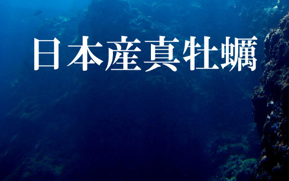 日本産真牡蠣